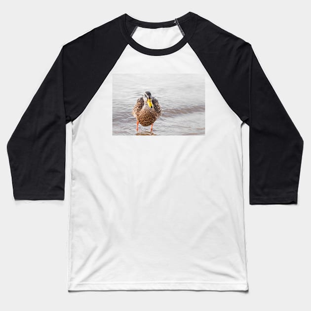 Cute Funny Mallard Duck Portrait Baseball T-Shirt by Amy-K-Mitchell